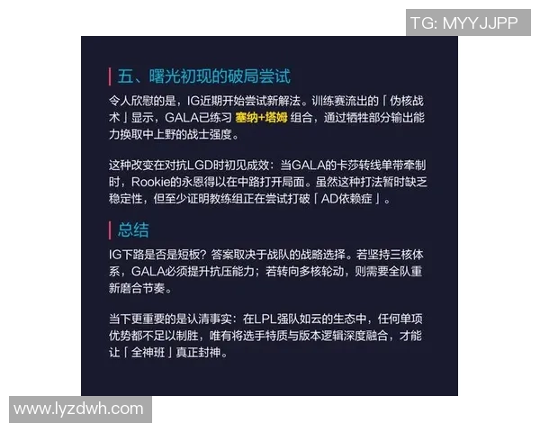 数据分析揭示IG灵活性表现的多维度影响与潜在机会